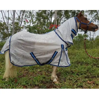 Miniature horse wearing silver dura mesh combo with blue trim 2