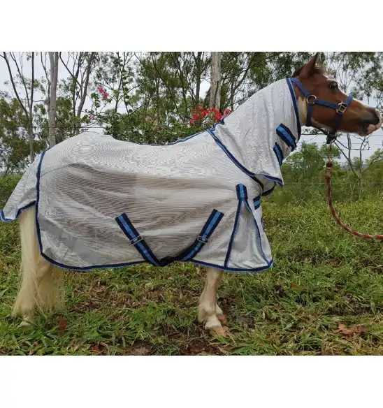 Miniature horse wearing silver dura mesh combo with blue trim