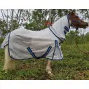 Miniature horse wearing silver dura mesh combo with blue trim