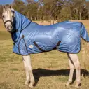 A white arabian horse wearing summer soft mesh blue combo with black trim in australian landscape