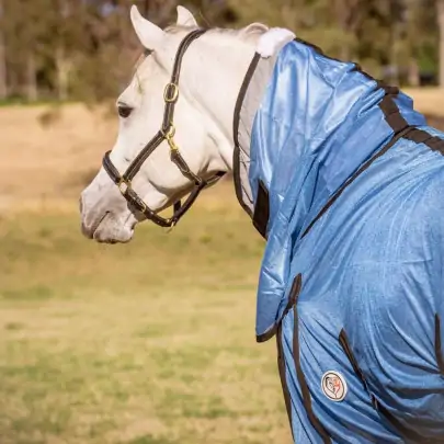 A white arabian horse wearing summer soft mesh blue combo with black trim in australian landscape 2
