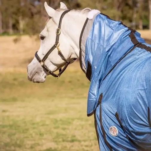 Love My Horse soft mesh combo blue