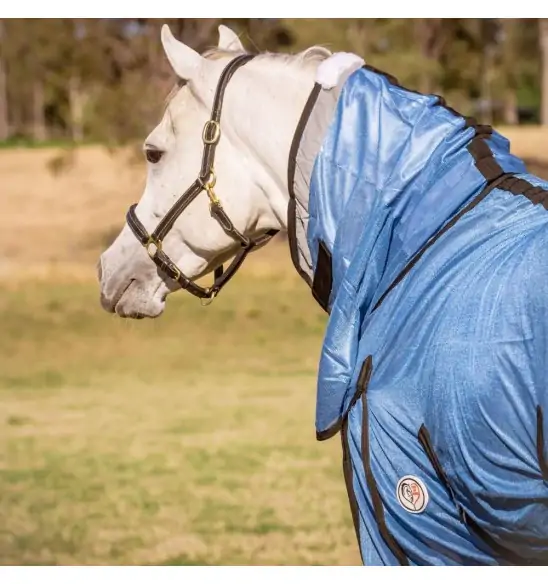 Love My Horse soft mesh combo blue