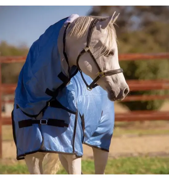 A white arabian horse wearing summer soft mesh blue combo with black trim in australian landscape