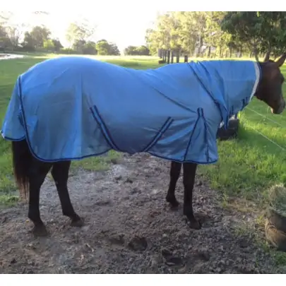 Horse wearing Love my Horse Dura mesh combo silver with blue trim 2