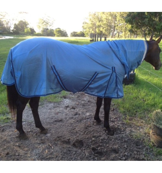 Horse wearing Love my Horse Dura mesh combo silver with blue trim