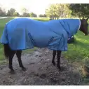 Horse wearing Love my Horse Dura mesh combo silver with blue trim