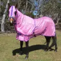 Horse wearing Love my Horse soft mesh hood set pink with the hood on