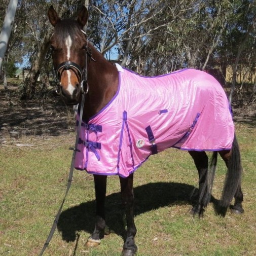 Horse wearing Love my Horse soft mesh hood set pink with the hood off
