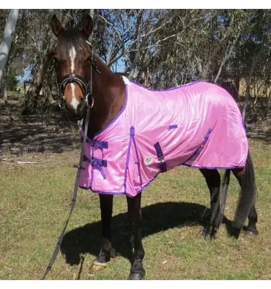 Horse wearing Love my Horse soft mesh hood set pink with the hood off