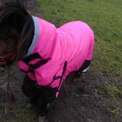 Warm Winter Horse Rug, Mini horse rug, Little horse rug, miniature horse rug, miniature horse rug, LOVE MY HORSE, Australia 2