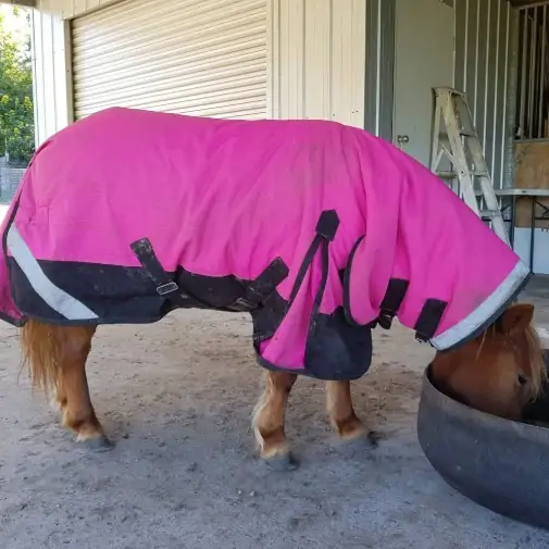 Warm Winter Horse Rug, Mini horse rug, Little horse rug, miniature horse rug, miniature horse rug, LOVE MY HORSE, Australia