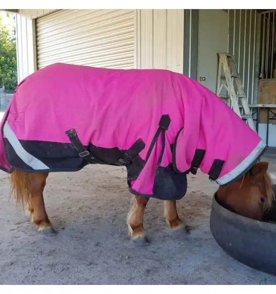 Warm Winter Horse Rug, Mini horse rug, Little horse rug, miniature horse rug, miniature horse rug, LOVE MY HORSE, Australia