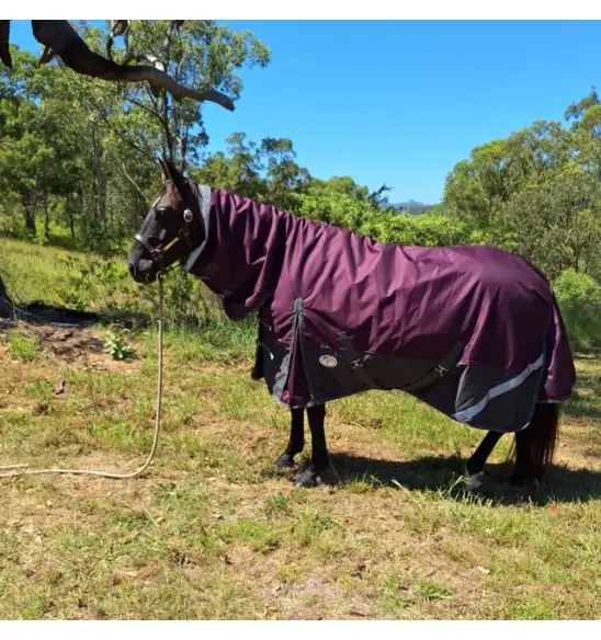 Black horse wearing Love My Horse Plum winter horse rug combo