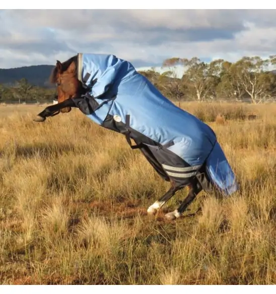 Rearing horse wearing blue Love My Horse 1200 Denier Rainsheet Combo