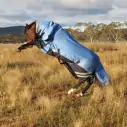Rearing horse wearing blue Love My Horse 1200 Denier Rainsheet Combo