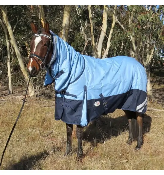 Horse wearing blue Love My Horse 1200 Denier Rainsheet Combo