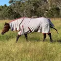 Horse wearing a Rug Red / Black poly cotton combo horse rug