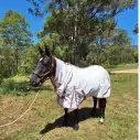 Black horse wearing pink check summer horse rug