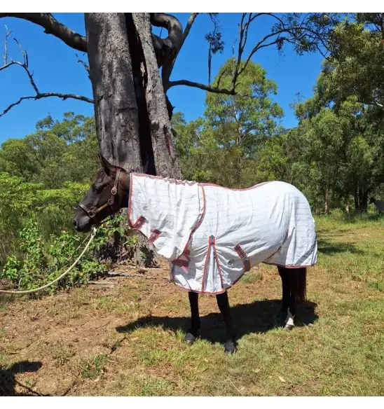 Black horse wearing pink check summer horse rug