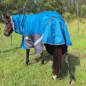 Brown horse wearing green Love My Horse rug with neck - close up of the tail flap