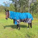 Horse wearing turquios rug with neck attached