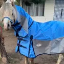 Cute palomino pony wearing Love My Horse Rainsheet mesh hybrid in blue rainhseet topline with silver mesh side panels