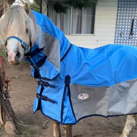 Cute palomino pony wearing Love My Horse Rainsheet mesh hybrid in blue rainhseet topline with silver mesh side panels