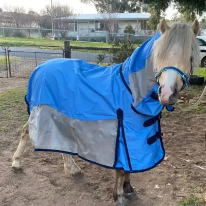 Cute palomino pony wearing Love My Horse Rainsheet mesh hybrid in blue rainhseet topline with silver mesh side panels 2