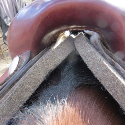 Western Wool Saddle Pad