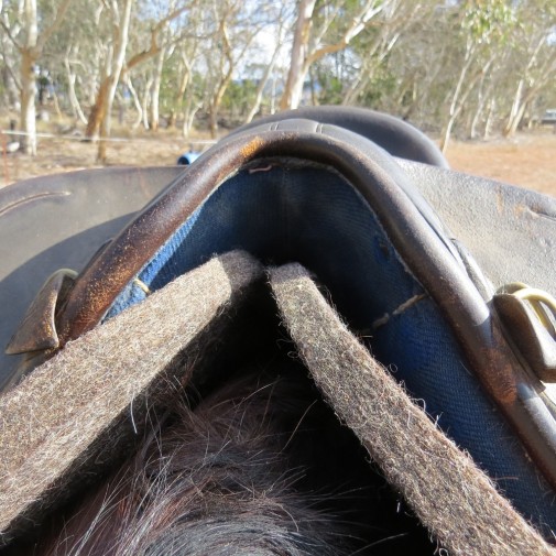 Western Wool Saddle Pad