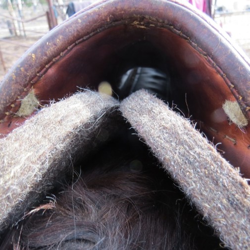 Western Wool Saddle Pad