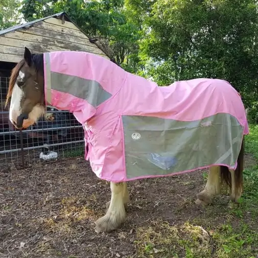 Clydesdale Rain Hybrid Combo Heavy Horse Rugs Pink|Horse Rugs | LOVE MY HORSE - Australia