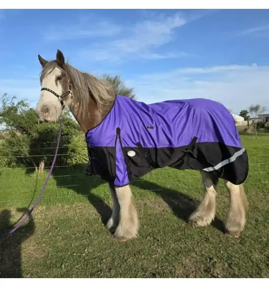 Clydesdale Rainsheet Heavy Horse Rugs Purple|Horse Rugs | LOVE MY HORSE - Australia