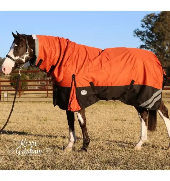 1200D Winter 180g Combo Horse Rugs Orange|Horse Rugs | LOVE MY HORSE - Australia
