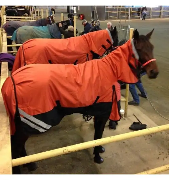 1200D Winter 180g Combo Horse Rugs Orange|Horse Rugs | LOVE MY HORSE - Australia