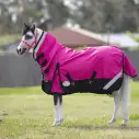 Warm Winter Horse Rug, Mini horse rug, Little horse rug, miniature horse rug, miniature horse rug, LOVE MY HORSE, Australia