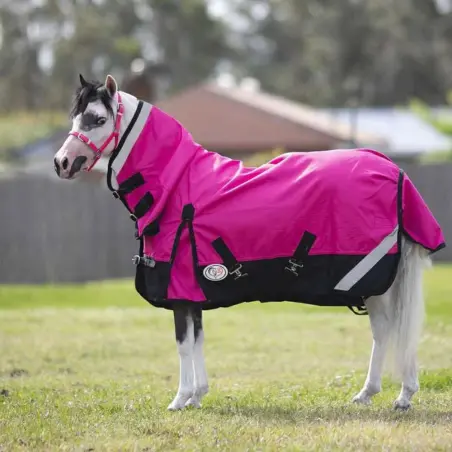 Aradelle Miniature Horse wearing Love My Horse 1200 Denier Rainsheet Combo in Pink and Navy