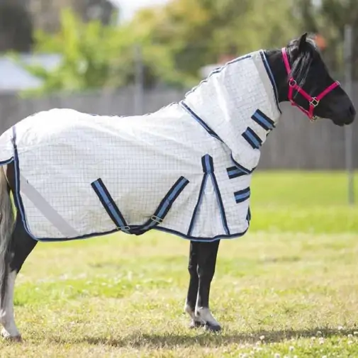 Aradelle Miniature horse wearing a blue poly cotton combo for insect protection and Uv protection