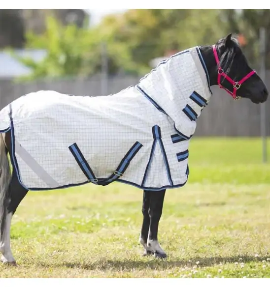 Aradelle Miniature horse wearing a blue poly cotton combo for insect protection and Uv protection