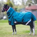 Aradelle Miniature Horse wearing Love My Horse Turquise 1200 Denier waterproof rainsheet combo