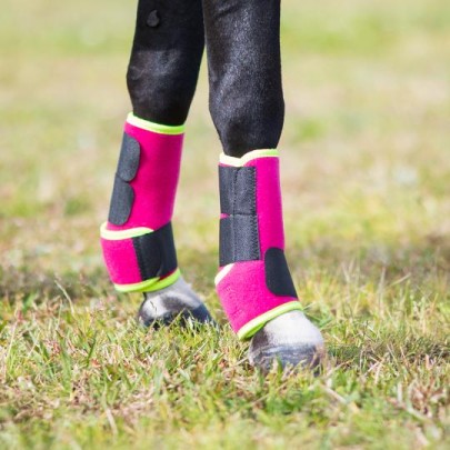 Black mini horse wearing pink and lime boots