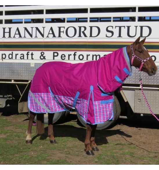 Horse wearing love my horse Pink Check Winter Combo