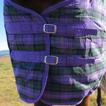 Purple / Green check stable combo horse rug 2