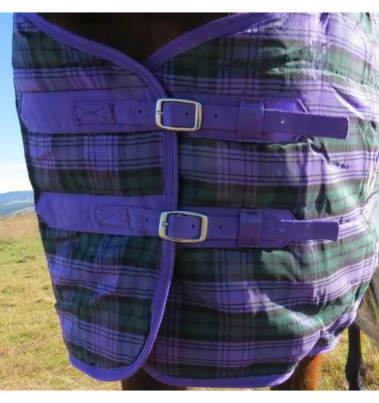 Purple / Green check stable combo horse rug showing chest fit with double buckles