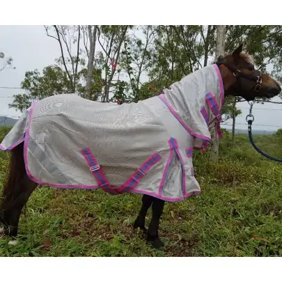 Mini IR3535 Fly Repellent Mesh Horse Rug Pink 2