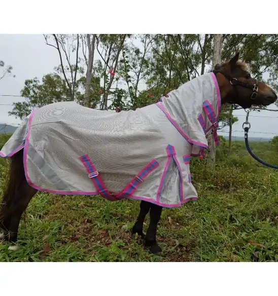 Mini IR3535 Fly Repellent Mesh Horse Rug Pink|Horse Rugs | LOVE MY HORSE - Australia