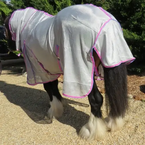 Heavy horse mesh rug with IR3535 fly repellent fabric – breathable, skin-safe summer protection for Clydesdales
