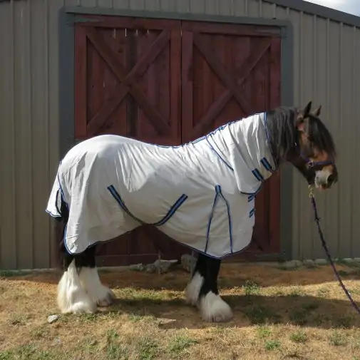 Breathable fly repellent horse rug for Clydesdales – IR3535 treated mesh helps reduce flies, midges and summer irritation