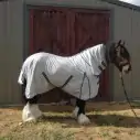 Breathable fly repellent horse rug for Clydesdales – IR3535 treated mesh helps reduce flies, midges and summer irritation